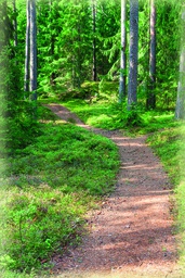 [3305101] Pakettikortti tekstitön