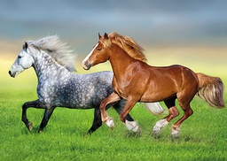 [4750173] 1-os eläinkortti hevonen