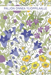 [245295] 2-os ylioppilas Vallila Ahomaa