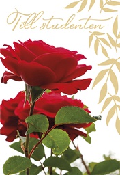 [245311] 2-os Ylioppilas R