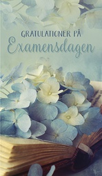 [245322] 2-os Valmistuminen R setelitasku 