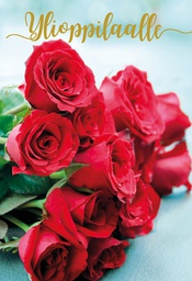 [24P4084] 2-os Ylioppilas