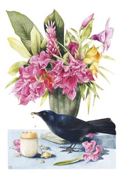 [27P00411] 1-os kortti Marjolein Bastin