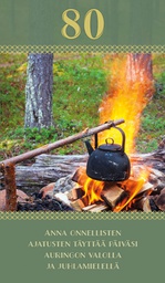 [17P80001] 2-os vuosikortti 80v