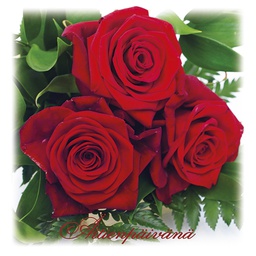 [29463] 2-os äitienpäivänä neliökortti Kati Pekkarinen