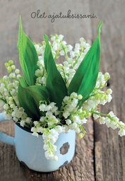 [49P00312] 2-os kortti Mieli ry