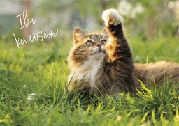 [27P00462] 1-os kevätkortti