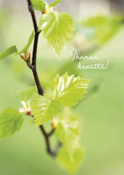 [27P00464] 1-os kevätkortti