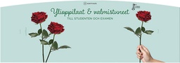 [105571] Telineopaste 90-120 cm yo-valm-student-examen FI SE