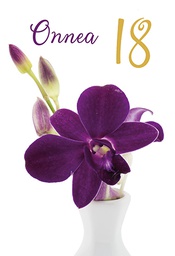 [1718207] 2-os vuosikortti 18v