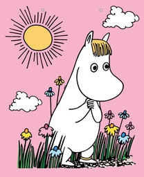 [6631127] Lahjakassi L/F Muumi