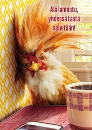 [3910162] 1-os hupikortti Avanti