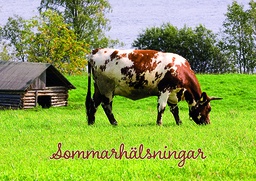[2742649] 1-os kortti R kesä