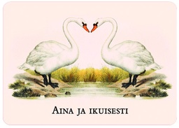 [60945] 1-os ajatelmakortti Maroy