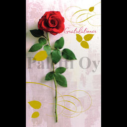 [78783] 2-os R Aik. onn.