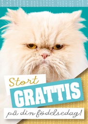 [79386] 1-os eläinkortti R kissa