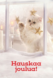 [28111] 2-os joulu SYÖ PMM HMK kissa