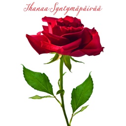 [2510013] 1-os syntymäpäivä