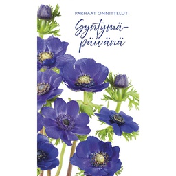 [1910085] 2-os syntymäpäivä
