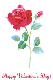 [28375] 1-os ystävänpäivä englanti Hallmark ruusu