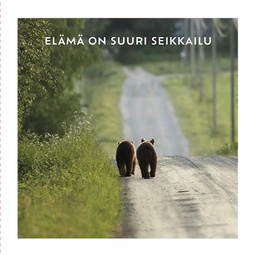 [51P0004] 2-os neliökortti Luonto 14,5x14,5 cm