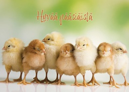[162361] 1-os pääsiäinen