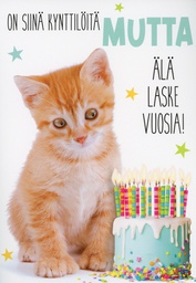 [51P0014] 2-os äänikortti