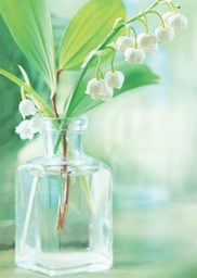 [27P00056] 1-os kortti