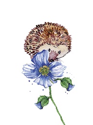 [318101] Juliste 30x40cm Siili