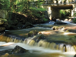 [318114] Juliste 30x40cm Veden lasku