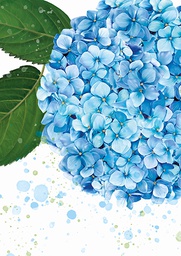 [357502] Vihko A5 MuttuRalla Kukka Hortensia