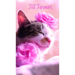 [1480051] 2-os Farmor