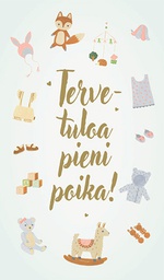 [22P20020] 2-os vauvakortti poika