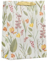 [651007] Lahjakassi M/D ketokukat