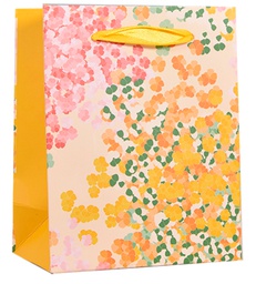 [654053] Lahjakassi S/B lehdet