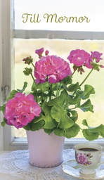 [1480052] 2-os Mormor Jorma Jämsen