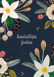 [116927] 1-os. joulu Iisa Mönttinen