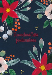 [116924] 1-os. joulu Iisa Mönttinen